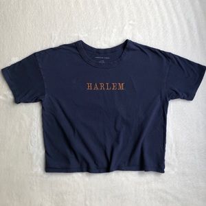 American Eagle Blue Cropped T-shirt